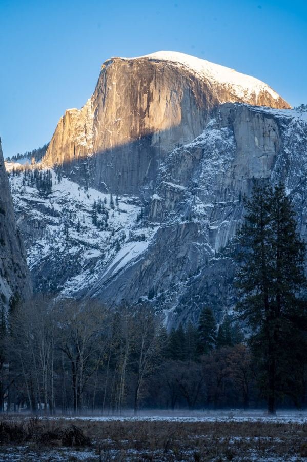 Snow-dusted Half Dome lit by warm sunset light above a winter meadow